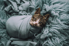 Load image into Gallery viewer, Dutch Blue | 3'x5' 3000g Premium Greek Flokati